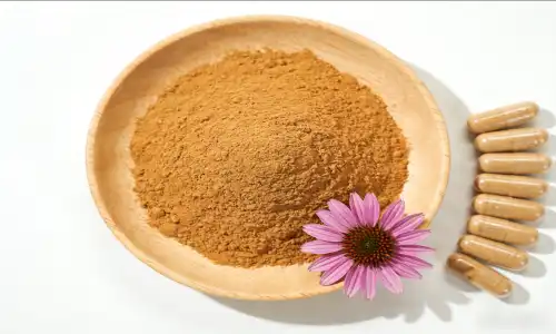 Where to Buy Bulk Echinacea Extract Powder?